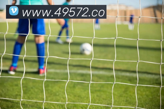 对战数据统计